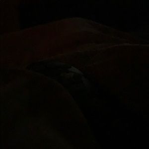 Meet your Posher, Ericka